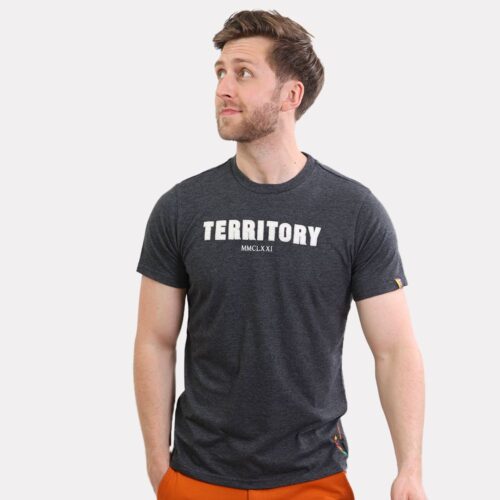 Territory Applique Tee Grey